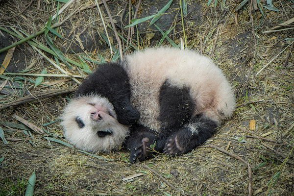 �����-����� ������ �����.������� �� PBS � National Geographic Television ������ � ���������� ��� ... - 6