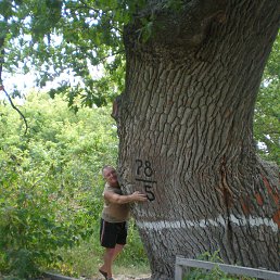 ���������, ���������, 60 ���