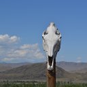 ���� ����, �����������, 55 ��� - ��������� 9 ������� 2014 � ������ ����-�����