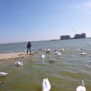 ������ ������� 19.04.14 �� ������� ���� ����������