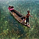 ���� Dt, ����, 50 ��� - ��������� 23 ��� 2014 � ������ ������ ��������