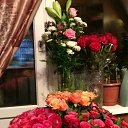 ���� �����, �����-���������, 52 ���� - ��������� 27 ����� 2014 � ������ ��� 26.03.2014�