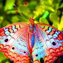 ���� ������, �������, 52 ���� - ��������� 6 ���� 2014 � ������ ������ ��������