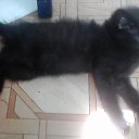 ���� ������, ��������� - ��������� 19 ���� 2014 � ������ ������ ��������