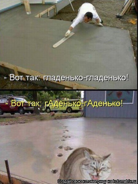  ( ) - 11  2014  19:41