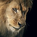 ���� Svetlana, ������ - ��������� 8 ������� 2014 � ������ ���� ����������