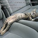 ���� Yana, �������, 46 ��� - ��������� 19 ����� 2014 � ������ ���� ����������