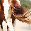 ���� ������, ������ - ��������� 2 ���� 2014 � ������ ��������.�