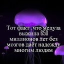 ���� �����, ����, 53 ���� - ��������� 10 ��� 2014 � ������ ������ ��������