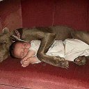 ���� �e� �, ������, 55 ��� - ��������� 27 ���� 2014 � ������ ���� ������