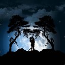 ���� ��������, ������ - ��������� 1 ������ 2014 � ������ ������ ��������