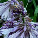 ���� 2014 �� ������� �����ܻ