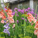 ���� ����, ����� - ��������� 10 ������� 2014 � ������ ���� ����ۻ