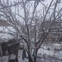 ���� �����, ������, 37 ��� - ��������� 1 ������ 2014
