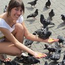 ���� ������, ��������� - ��������� 22 ������� 2014 � ������ ���� ����������