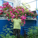 ���� ���������, ���������, 72 ���� - ��������� 14 ���� 2014 � ������ ���� ����������