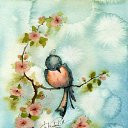 ���� �������, �����, 50 ��� - ��������� 4 ������� 2014 � ������ ���� ����������