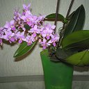 ���� �������, ����������, 50 ��� - ��������� 14 ���� 2014 � ������ ���� ��������