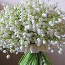 ���� �������, ��������� - ��������� 5 ��� 2014 � ������ ������ ��������