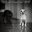 ���� �������, ������-��-����, 48 ��� - ��������� 4 ������ 2014 � ������ ������ ��������