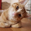 ���� Alina, �����-��������� - ��������� 28 ��� 2014 � ������ ������ ��������