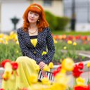  , , 46  -  3  2014       2  2014