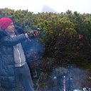 ���� ���������, ����, 37 ��� - ��������� 24 ���� 2014 � ������ ���� ����������