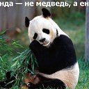 ���� �, ������ - ��������� 5 ������ 2014 � ������ ������ ��������