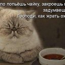 ���� Antonida, ����� - ��������� 4 ���� 2014 � ������ ������ ��������
