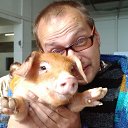 ���� ���������, �����-���������, 54 ���� - ��������� 19 ��� 2014