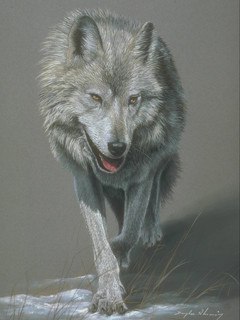 Nikolay, ����, 61 ���