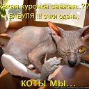 ���� �������, �������� - ��������� 25 ��� 2014 � ������ ������ ��������