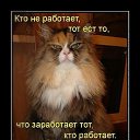 ���� �������, ������ �������� - ��������� 11 ������� 2014 � ������ ���� ����������