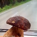 ���� ������, ����, 46 ��� - ��������� 5 ������� 2014 � ������ ������ ��������