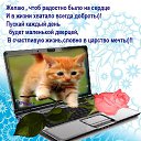 ���� �����, ���� - ��������� 22 ����� 2014 � ������ ������ ��������