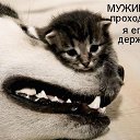 ���� ��������, ������ - ��������� 20 ���� 2014 � ������ ������ ��������