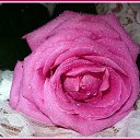 ���� ����, ����������, 39 ��� - ��������� 4 ������� 2014 � ������ ���� ����������