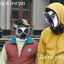 ���� �����, ������ - ��������� 19 ����� 2014 � ������ ������ ��������