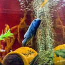  , , 46  -  24  2014      &quot; &quot;