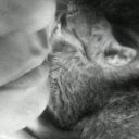 ���� �������, �����������, 38 ��� - ��������� 29 ������ 2014 � ������ ���� ����������