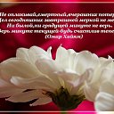 ���� �������, ������������ - ��������� 28 ����� 2014 � ������ ������ ��������