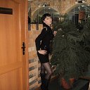 ���� �����, ����������, 48 ��� - ��������� 26 ����� 2014 � ������ ���� ����������