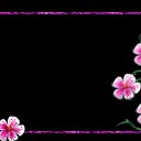 ���� ������, �������, 36 ��� - ��������� 20 ���� 2014 � ������ ���� ����������