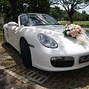 ���� ������, ������������, 36 ��� - ��������� 29 ��� 2014 � ������ ������ �������� ���λ