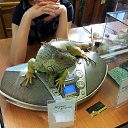 ���� ������, ������, 51 ��� - ��������� 24 ������ 2014 � ������ �����������-7�