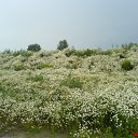 ���� Aror, �����-���������, 37 ��� - ��������� 12 ��� 2014