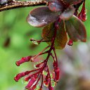 1.06.2014 �� ������� �����ܻ