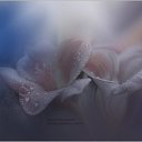 ���� Viktoriya, ���� - ��������� 28 ��� 2014 � ������ ������ ��������