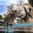 ���� �������, ������ - ��������� 31 ��� 2014 � ������ ������ ��������