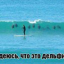 ���� ����, ��������� - ��������� 29 ���� 2014 � ������ ������ ��������